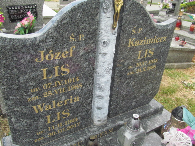 Kazimierz Lis 1953 Rokietnica - Grobonet - Wyszukiwarka osób pochowanych